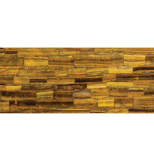 8630 Tiger Eye, Concetto